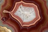 Polished Laguna Agate Half - Mexico #302152-1